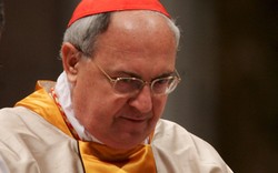 Niedziela Palmowa inna niż zwykle. Tego dnia mszy nie odprawi papież...