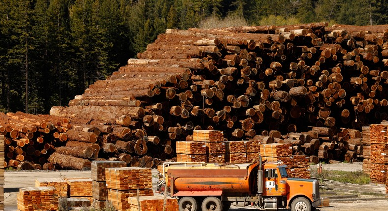 Plummeting lumber prices could be one indicator that there will be a recession this year, according to Virtus Investment Partners' chief market strategist.