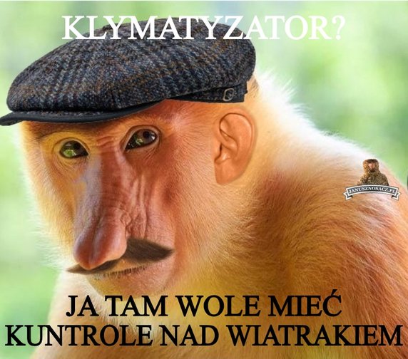 Memy o upałach. Internauci w formie