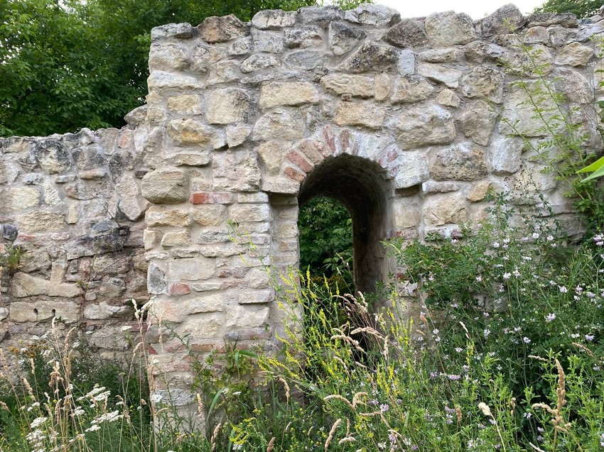 Rakovac - arheološko nalazište