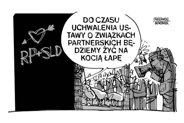 Na kocia lape ruch palikota sld krzętowski