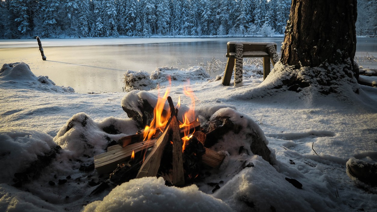 Otestujte svoje schopnosti prežitia v divočine.