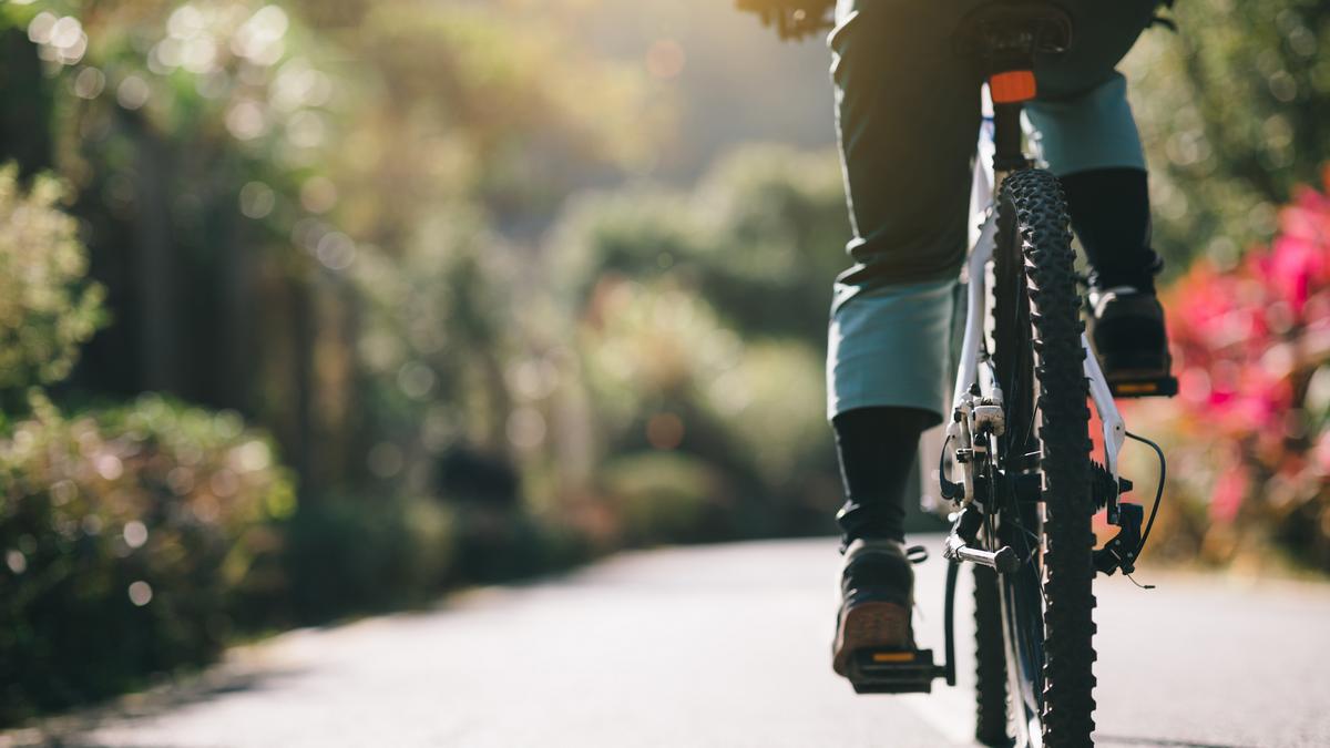 Do 1500 zł kary za jazdę na rowerze i hulajnodze bez uprawnień – nowe  przepisy już w styczniu 2022