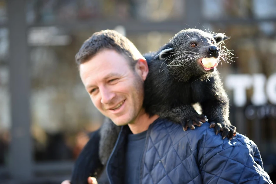 Druženje sa biturongom