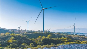 PSE przedstawia strategię transformacji polskiej energetyki. Więcej OZE, mniej węgla i nowe wyzwania stabilności sieci