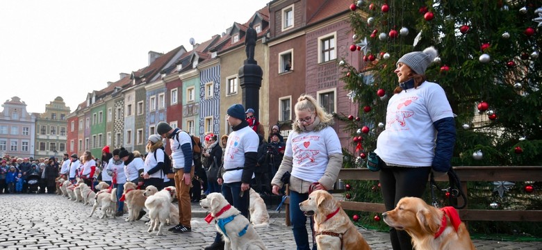 Imperialni szturmowcy, pokazy psów... 28. Finał WOŚP