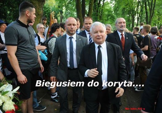 mem / Nie lubię PiSu