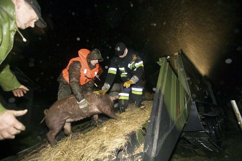 Nocne zdjęcia z ewakuacji. Dramat na Śląsku