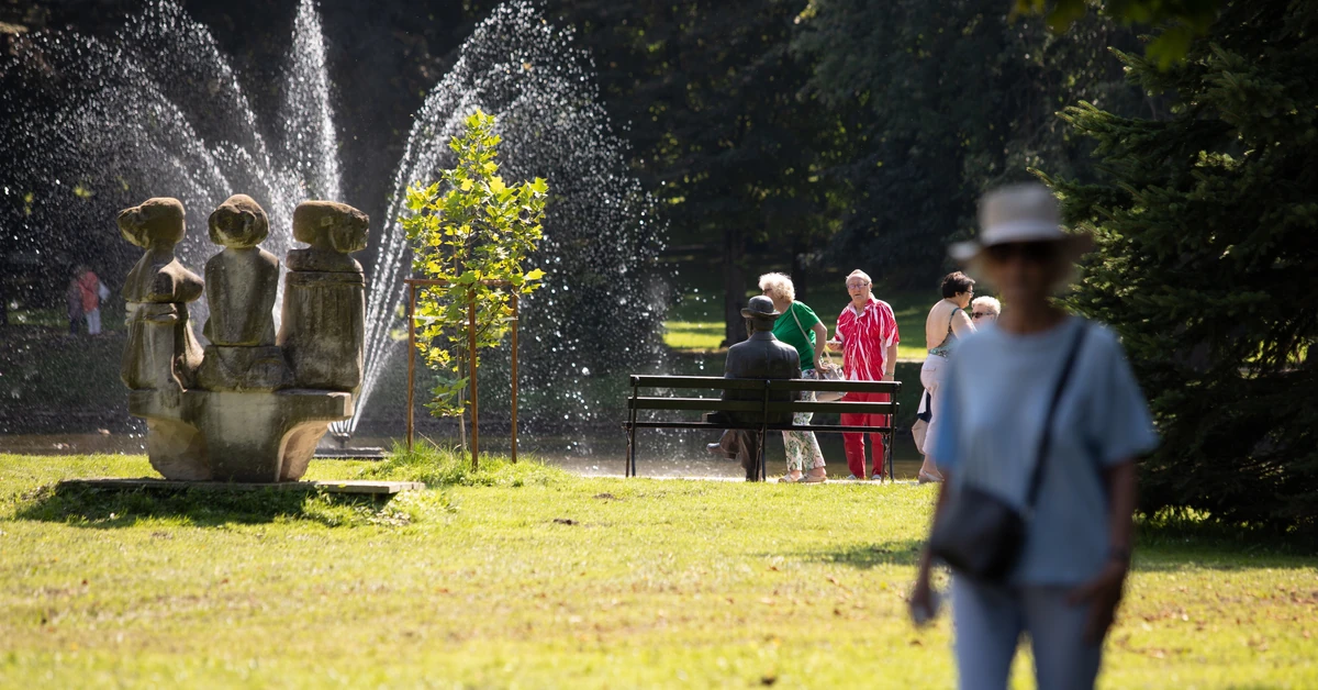 Za jeden błąd możesz stracić prawo do sanatorium na 18 miesięcy [WYWIAD]