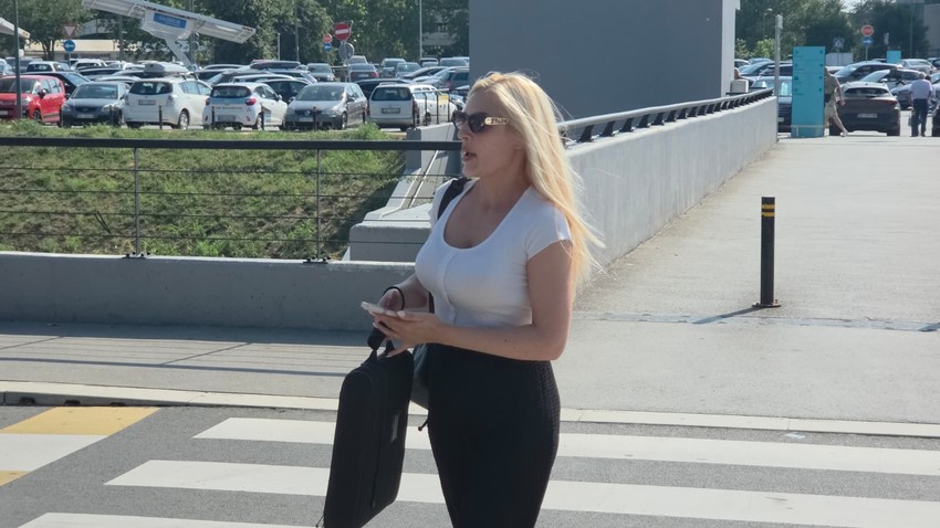 Goga Gačić