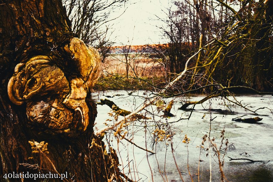 Historia "starej jedynki"