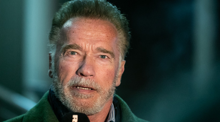 Arnold Schwarzenegger csak arra tud gondolni, milyen szuper géneket örököl unokája/ Fotó: Zsolnai Péter