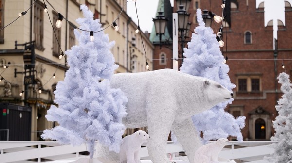 Niedźwiedzie polarne będą towarzyszyć ślizgającym się po lodzie