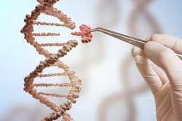 Naukowcy wymienili wadliwy gen w ludzkim zarodku. Co to dla nas oznacza?