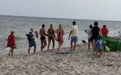 Turyści otoczyli fokę, to ZDJĘCIE wywołało poruszenie. Apel Stacji Morskiej na Helu [WIDEO]