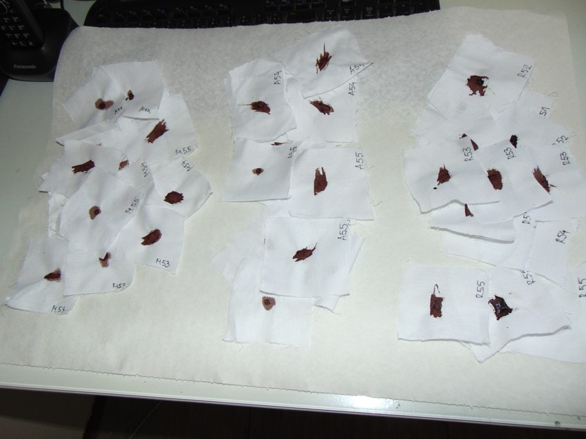 Krvne mrlje pričaju priču o zločinu