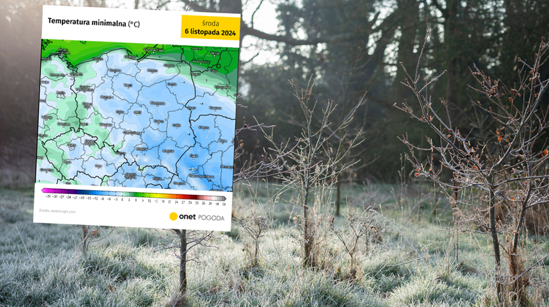 Ocieplenia na razie nie widać. Przed nami wiele mroźnych nocy (screen: meteologix.com)