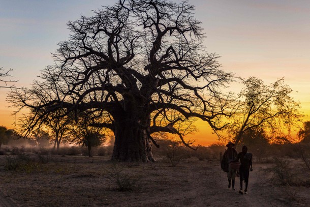 Lost Tribes of Angola