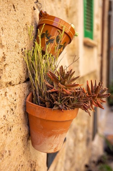 Valldemossa