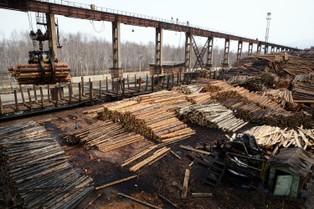 Chiny podtrzymują cła antydumpingowe na celulozę z USA, Kanady i Brazylii