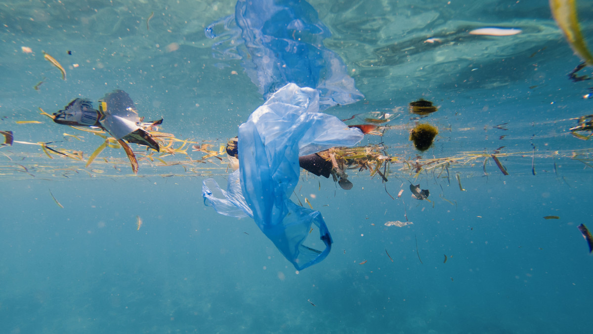 Jak wynika z badania opublikowanego przez czasopismo "Nature Geoscience" wzrasta zanieczyszczenie plastikiem. Zagrożone nim są nie tylko woda i gleba, ale także powietrze, którym oddychamy. 