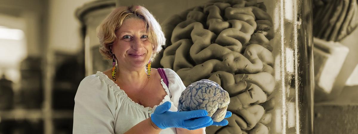 Proyecto Cerebro Digital.  ¿Por qué se crea un banco de cerebros virtual?  – Ciencias