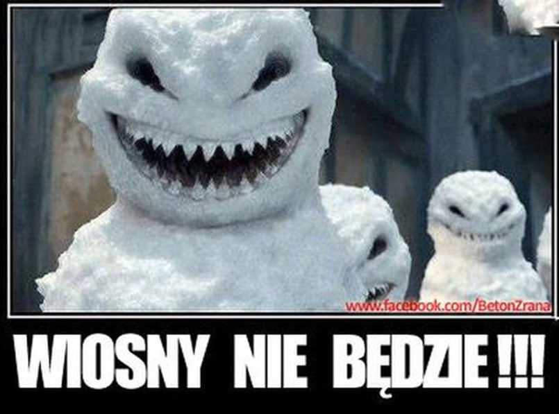 Internet przegania zimę dowcipem. Zobacz najlepsze memy