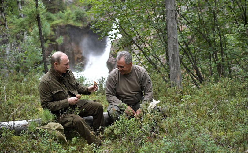 Władimir Putin na grzybach
