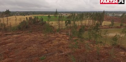 Minął rok od nawałnicy na Pomorzu. Relacje poszkodowanych