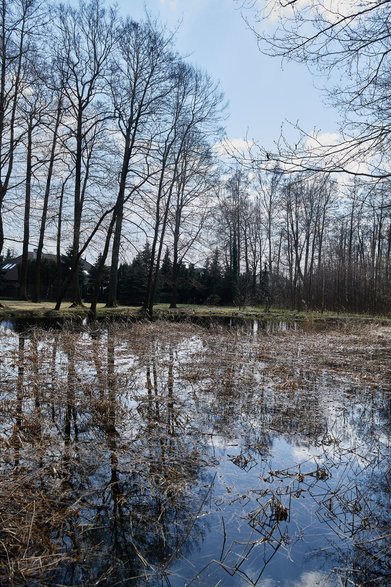 Tereny zielone na Złotnie 