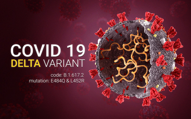 SARS-CoV2 ciągle mutuje i nadal pojawiają się nowe warianty, czego przykładem jest Delta i Delta Plus.