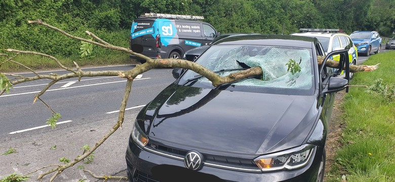 Gałąź przebiła auto na wylot. Policja poszukuje świadków