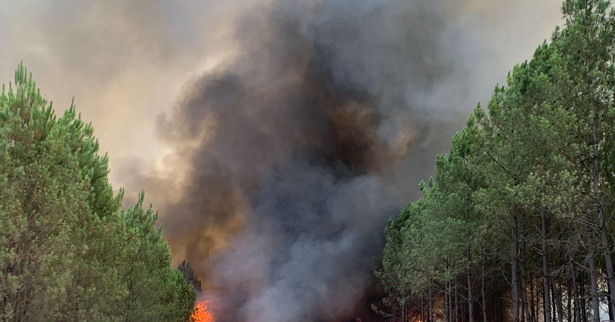 Macron: Polonia, Germania, Grecia, România și Austria ne vor ajuta să luptăm cu incendiile