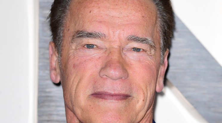 Megszületett Arnold Schwarzenegger unokája / Fotó: Northfoto