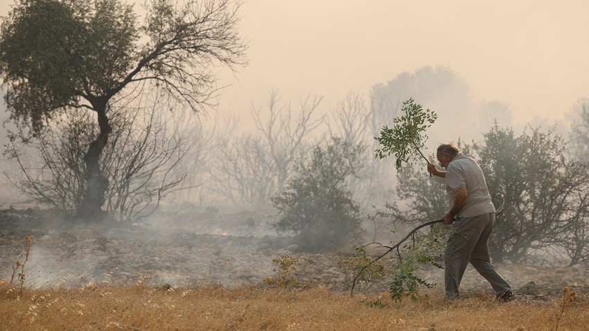 Megara, Grčka | Foto: Reuters