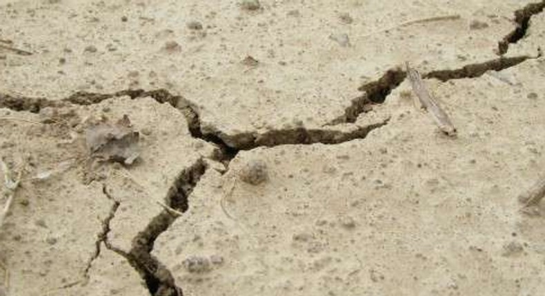 Parts of Accra experience earth tremor; GGSA calls for calm 