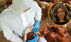 Wirusolożka przestrzega przed ptasią grypą u ludzi. &quot;Bardzo szybka zdolność mutacji&quot;