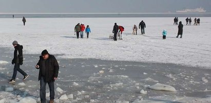 Wlepiają mandaty za spacery po Zatoce