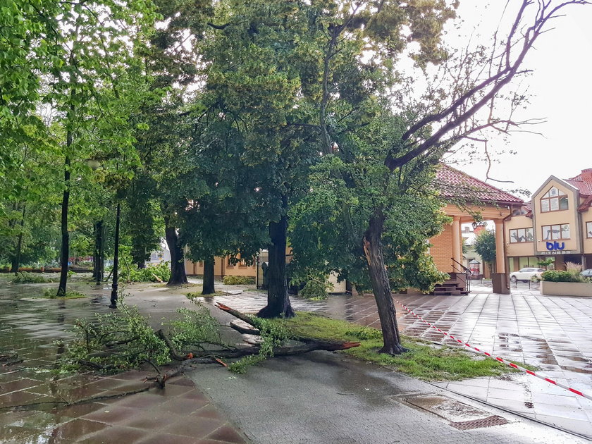 Burza w Aleksandrowie Łódzkim. Ludzie nie słuchali ostrzeżeń