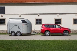 Czy można odliczyć VAT od wydatku związanego z zakupem konia?