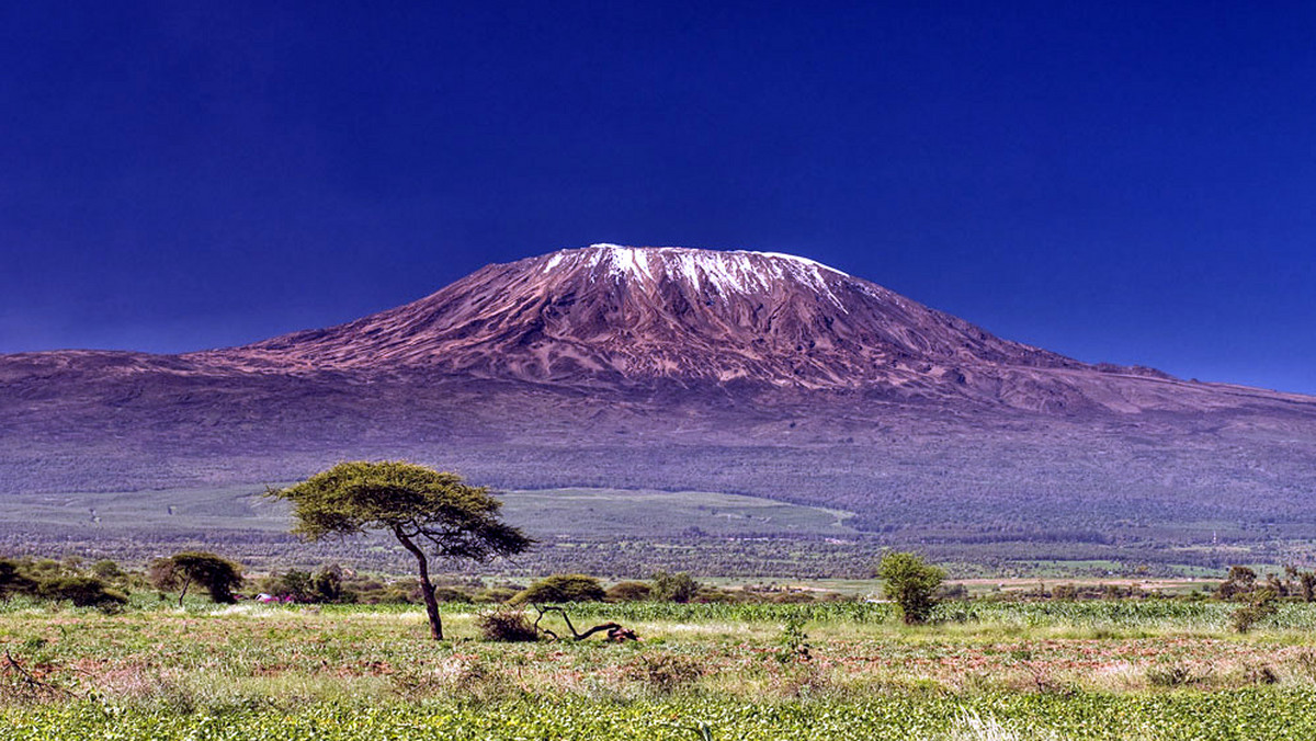 Wejście na Kilimandżaro (w pisowni suahili Kilimandżaro), mimo że bardzo łatwe, to jednak na tyle trudne, że startując z fotela biurowego nie sposób się mierzyć...