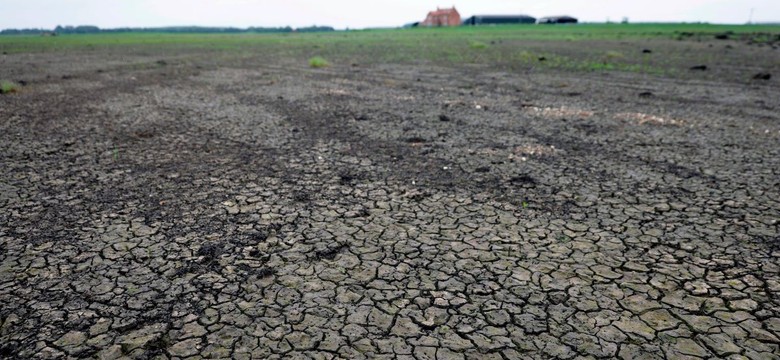 Polska zagrożona wielką suszą. Naukowiec bije na alarm