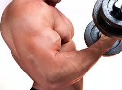 Muskuły za młodu pomagają dożyć sędziwej starości