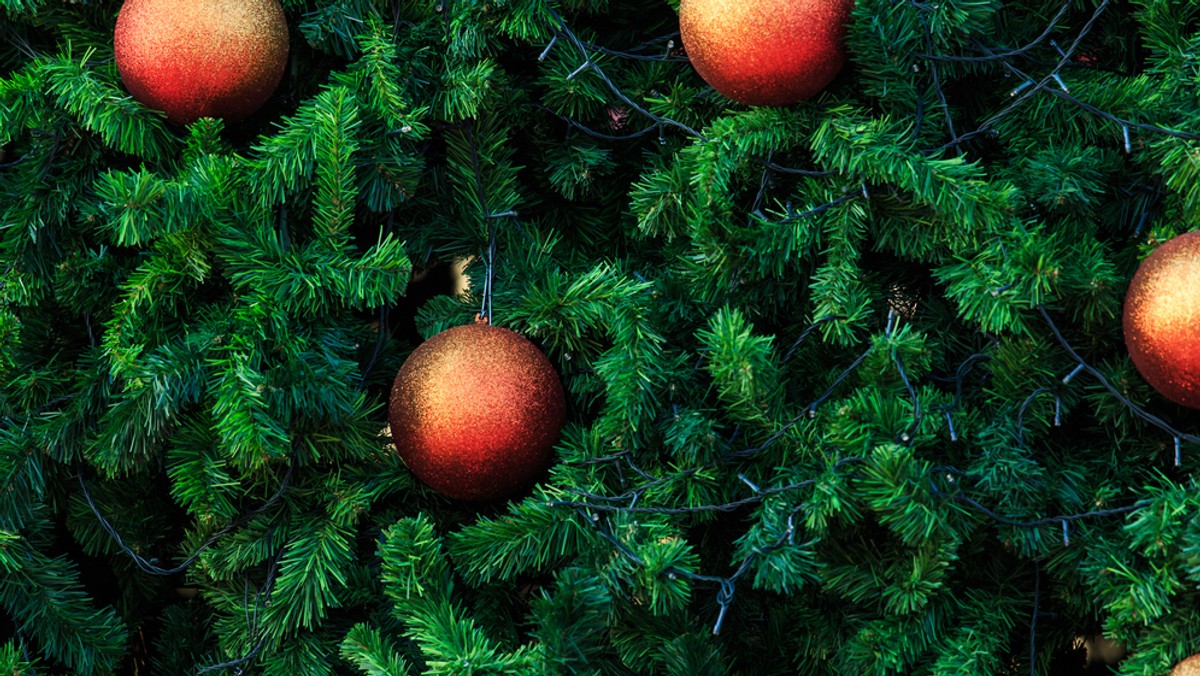 Soliści, chóry i zespoły wezmą udział w rozpoczętych w czwartek w Będzinie finałowych przesłuchaniach XXIII edycji Międzynarodowego Festiwalu Kolęd i Pastorałek im. Kazimierza Szwarlika – największego przeglądu kolędowego w Polsce.