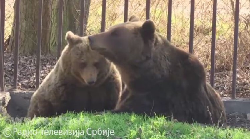 Zoo vrt u Kolutu, Milan Marić