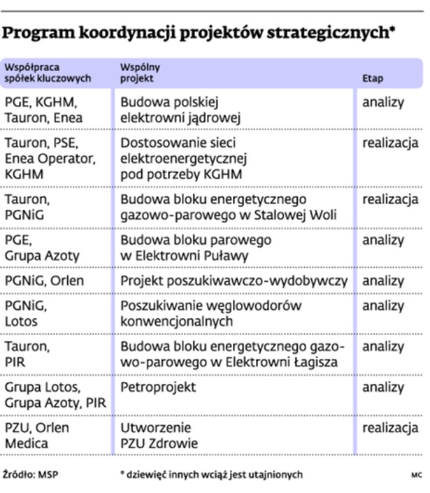 Program koordynacji projektów strategicznych*