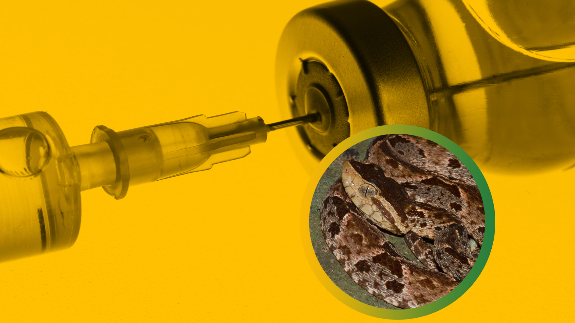 ilustračná snímka