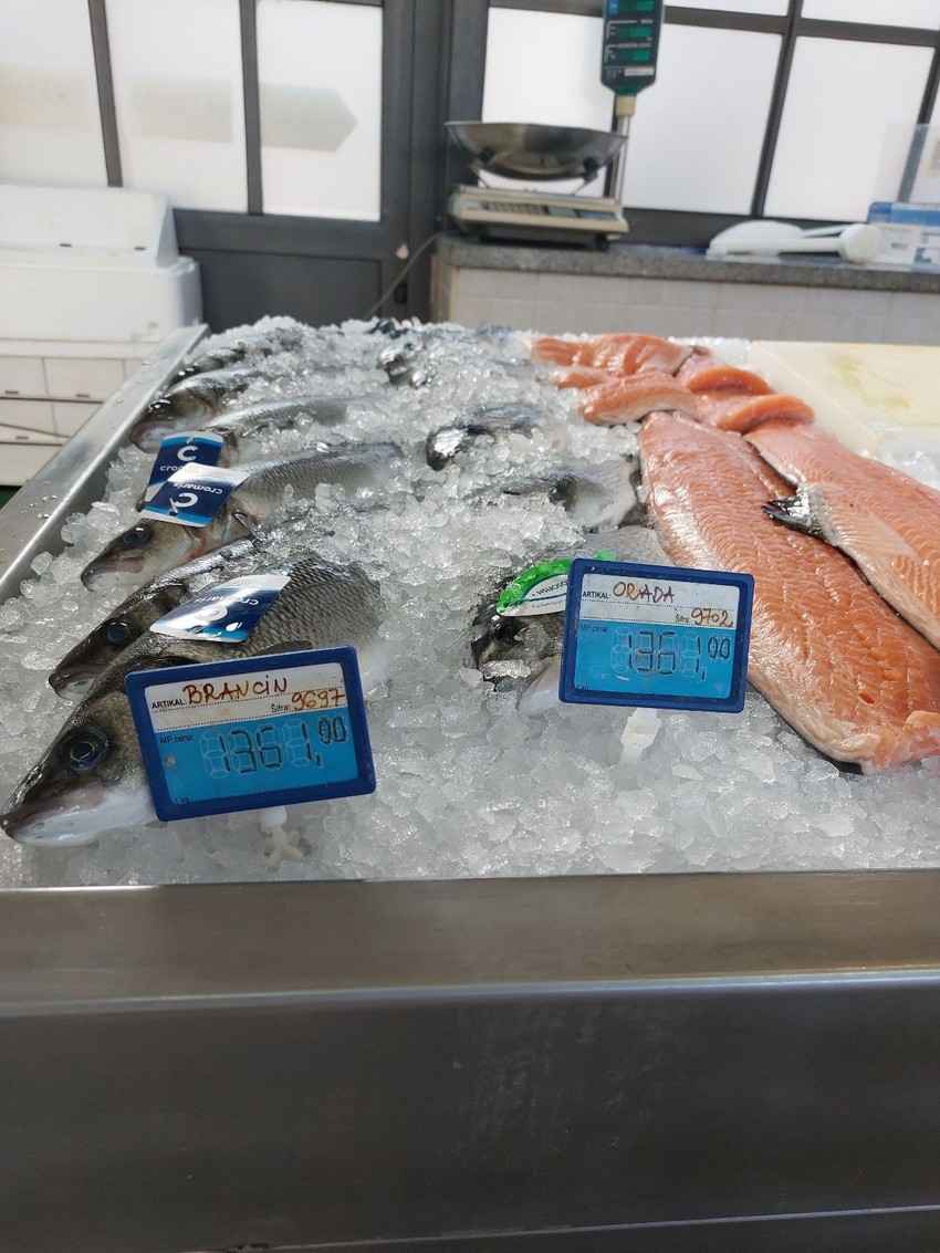 Cene brancina i orade