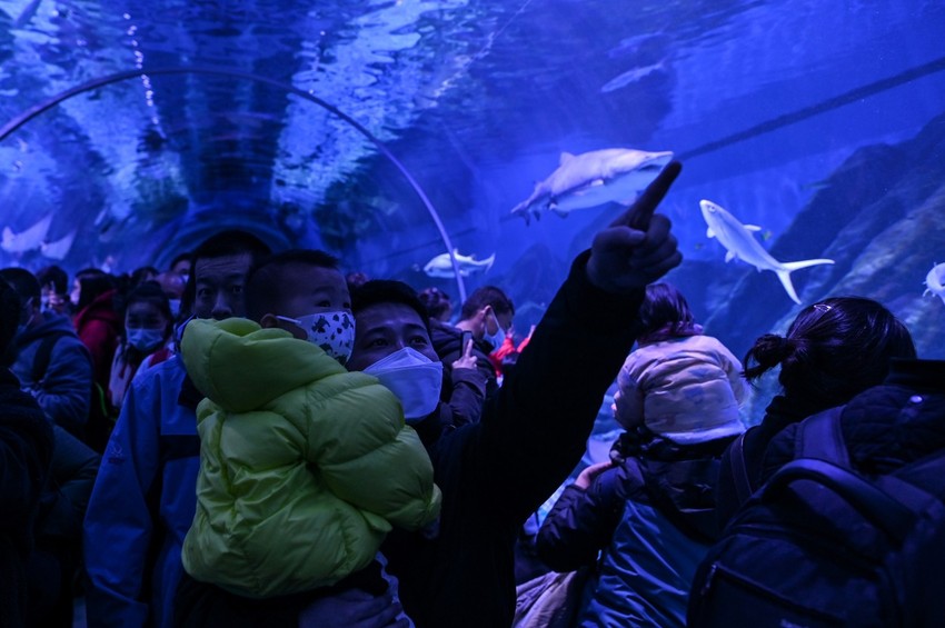 Poseta akvarijumu u Vuhanu u novembru