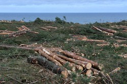 Co z przekopem Mierzej Wiślanej? "W tym miesiącu zacznie powstawać nabrzeże"